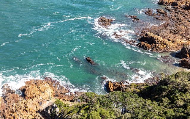 De groene kustlijn van de Garden Route met kliffen, bos en de Indische Oceaan