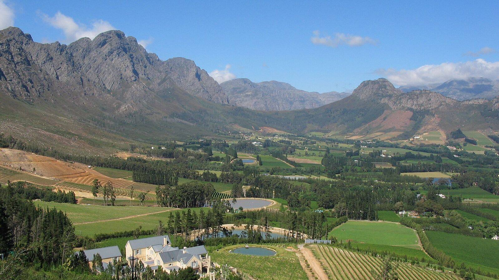 Wijngaarden in de vallei van Franschhoek met bergen op de achtergrond