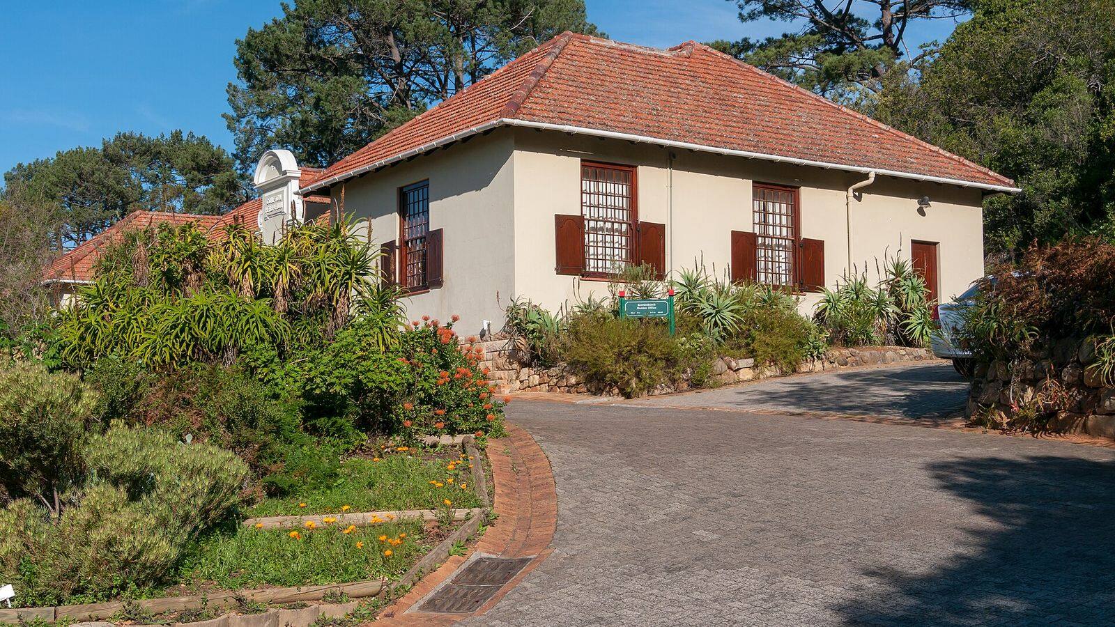 Gazons en fynbos in Kirstenbosch met de oostflank van de Tafelberg op de achtergrond