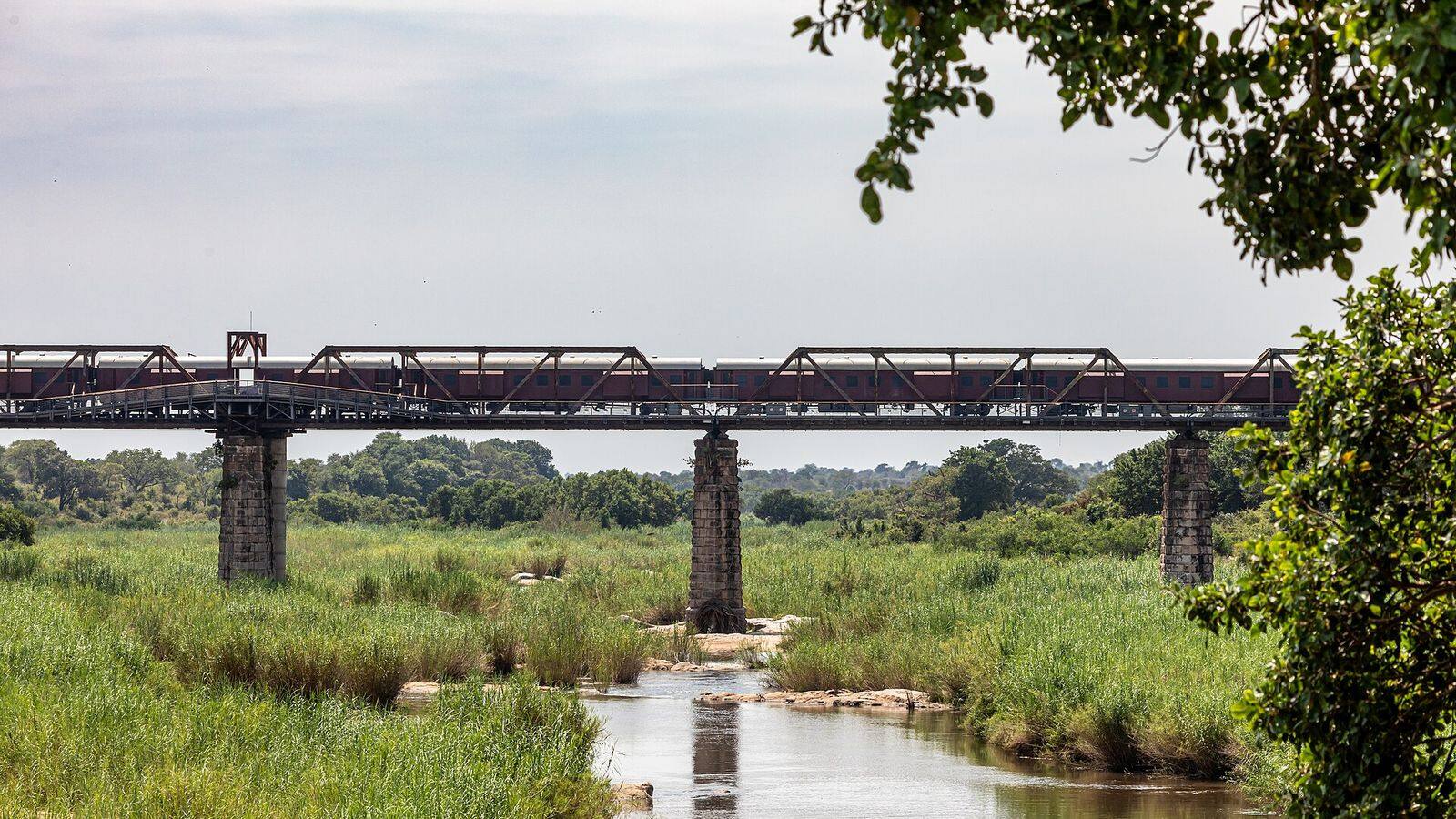 Rondavels in het Skukuza rest camp in het Krugerpark