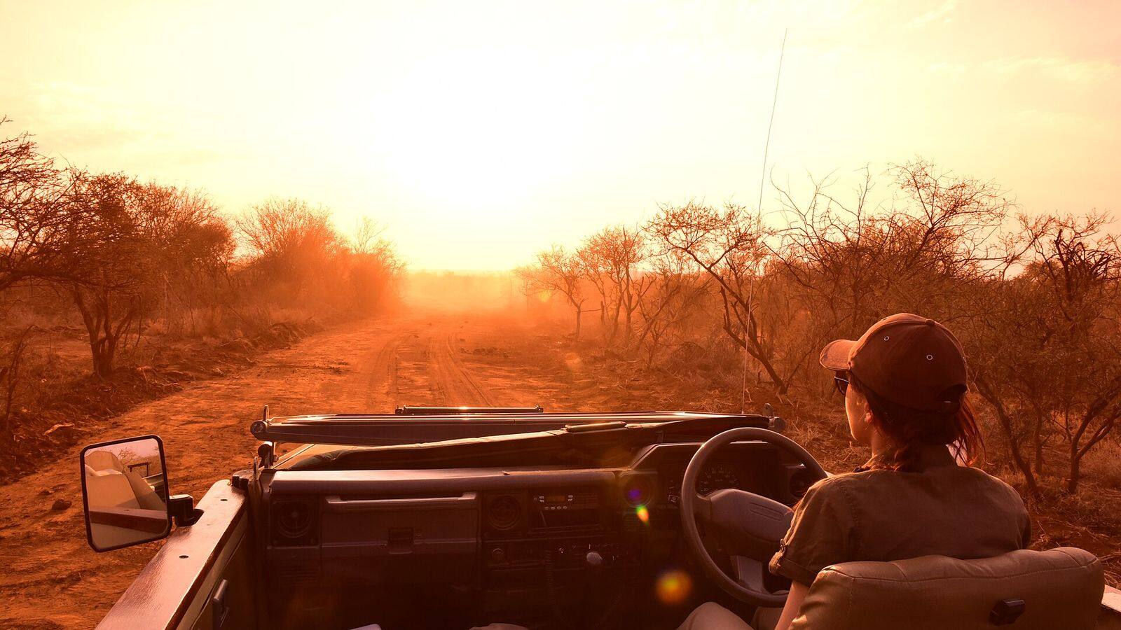 Groep Afrikaanse wilde honden in het gras van Madikwe